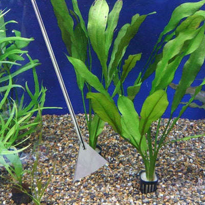 Your one-stop shop for diverse, top-quality aquarium supplies and accessories