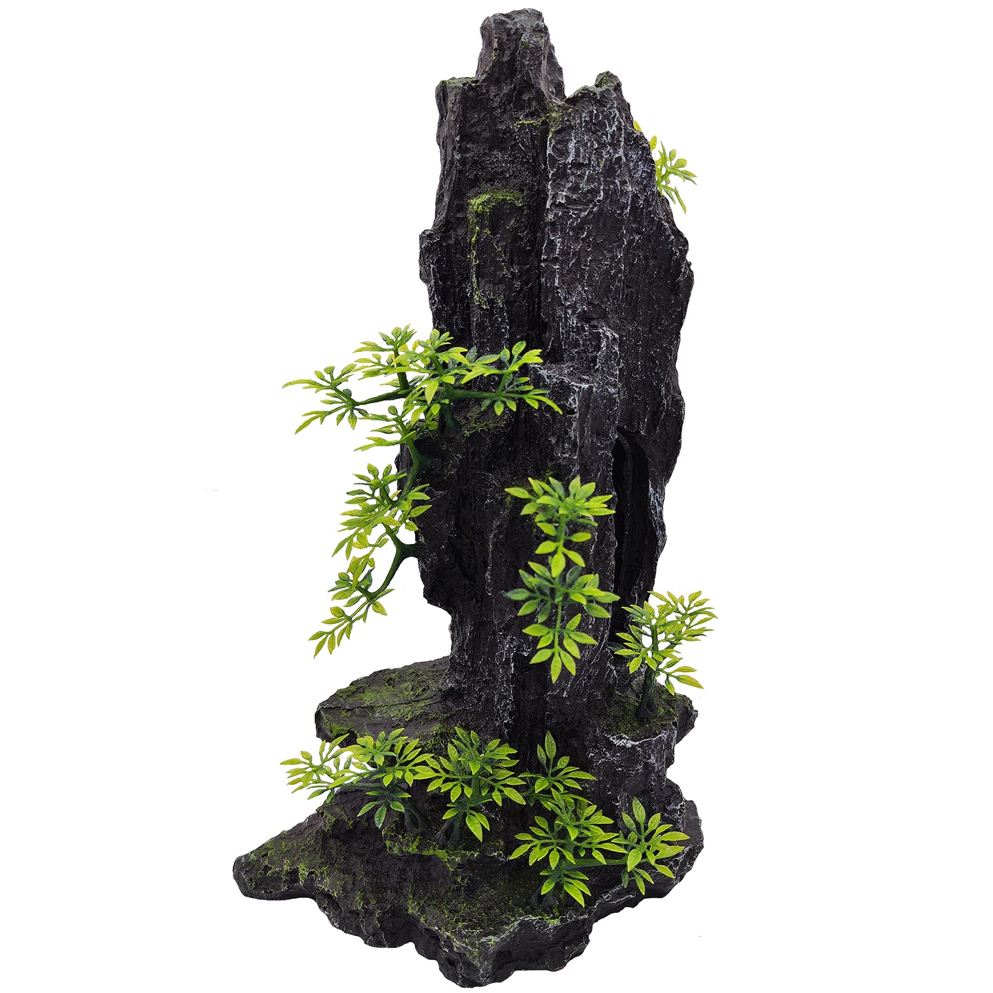 Your one-stop shop for diverse, top-quality aquarium supplies and accessories