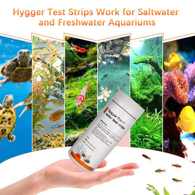 Your one-stop shop for diverse, top-quality aquarium supplies and accessories