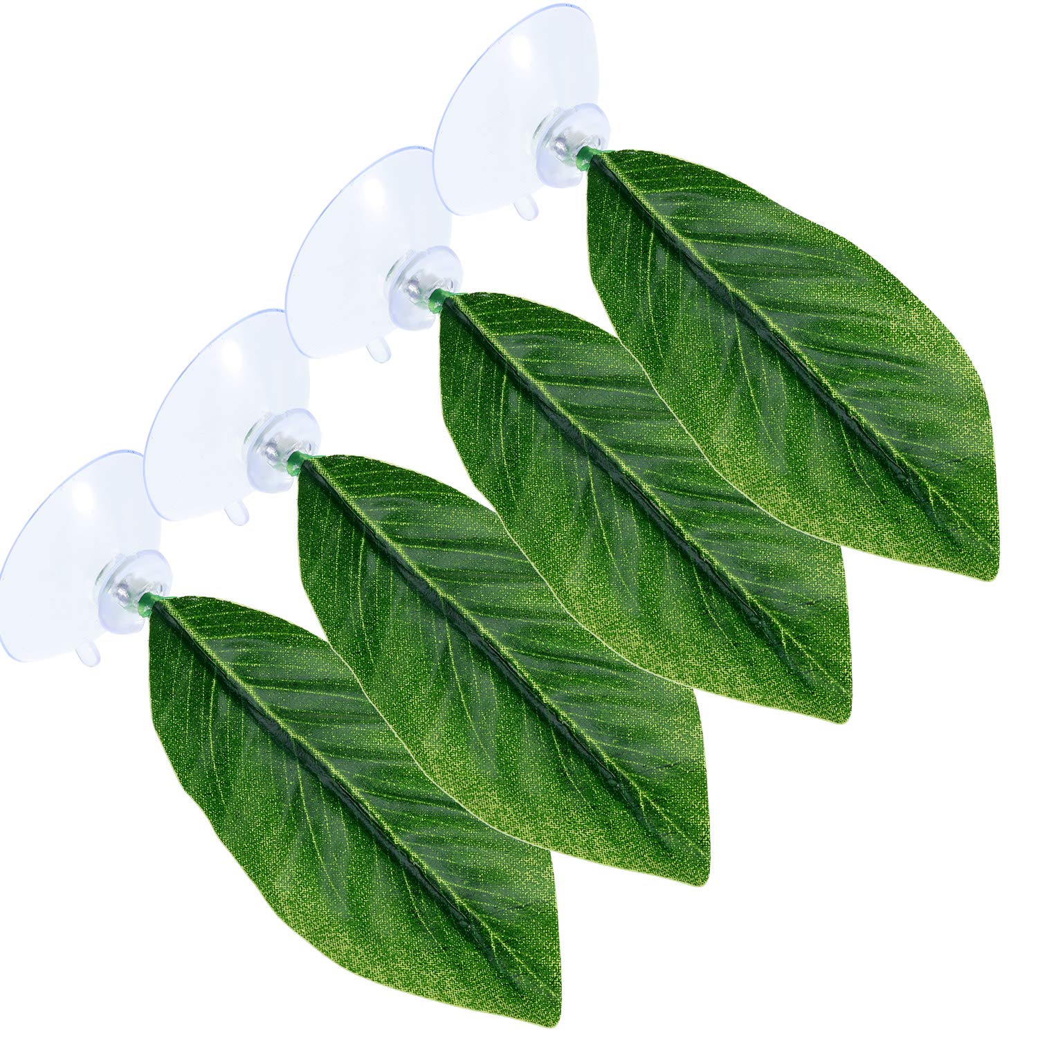 Your one-stop shop for diverse, top-quality aquarium supplies and accessories