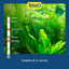 Your one-stop shop for diverse, top-quality aquarium supplies and accessories
