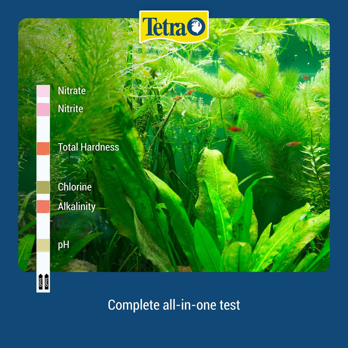 Your one-stop shop for diverse, top-quality aquarium supplies and accessories