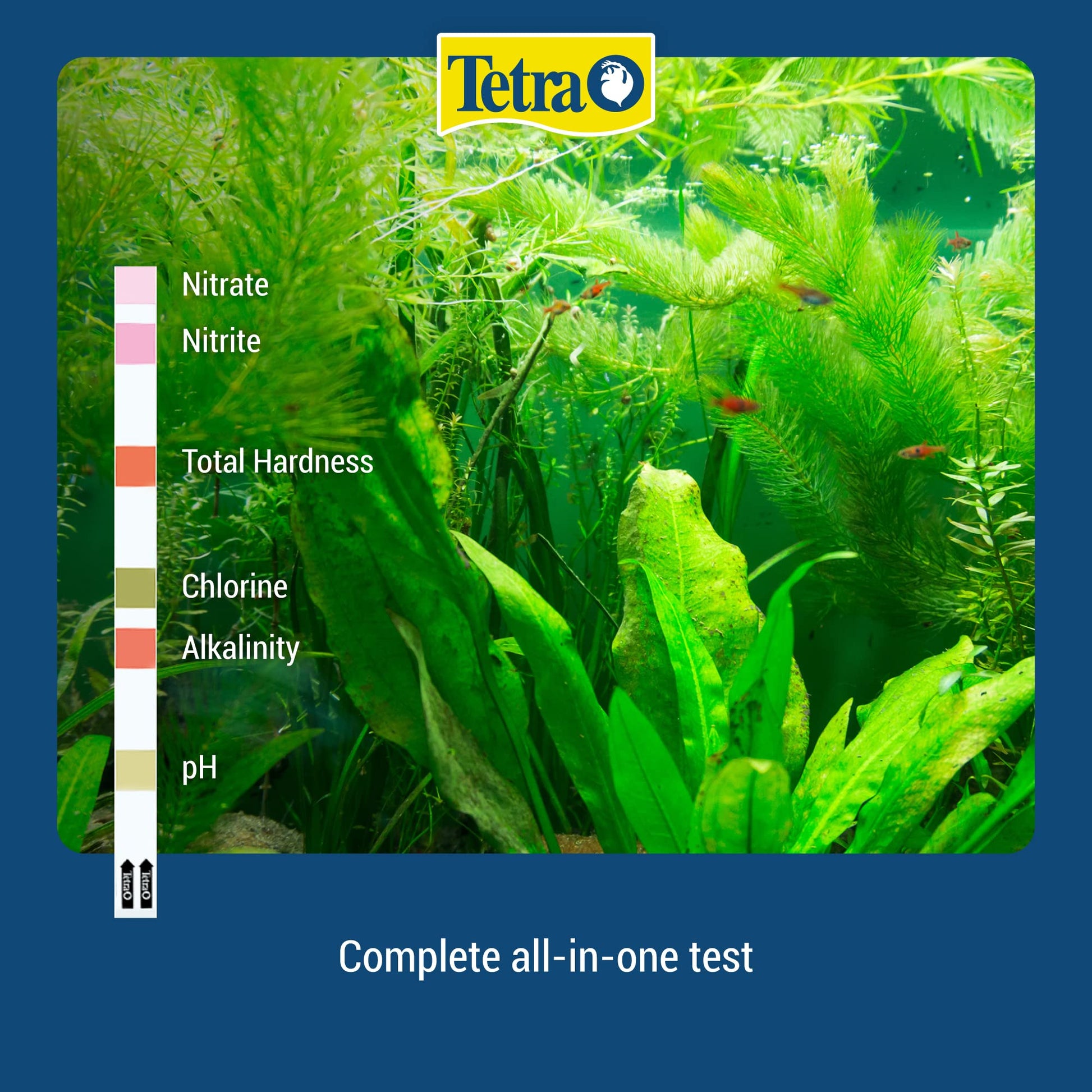 Your one-stop shop for diverse, top-quality aquarium supplies and accessories