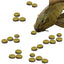 Your one-stop shop for diverse, top-quality aquarium supplies and accessories