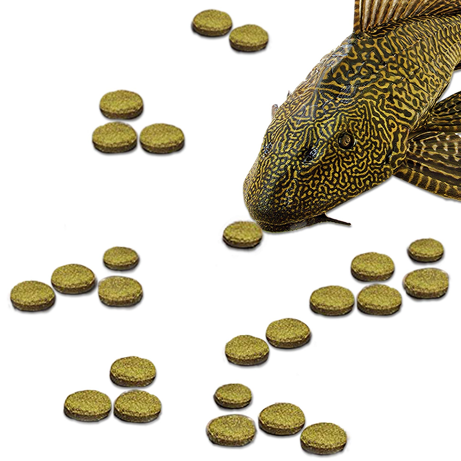 Your one-stop shop for diverse, top-quality aquarium supplies and accessories