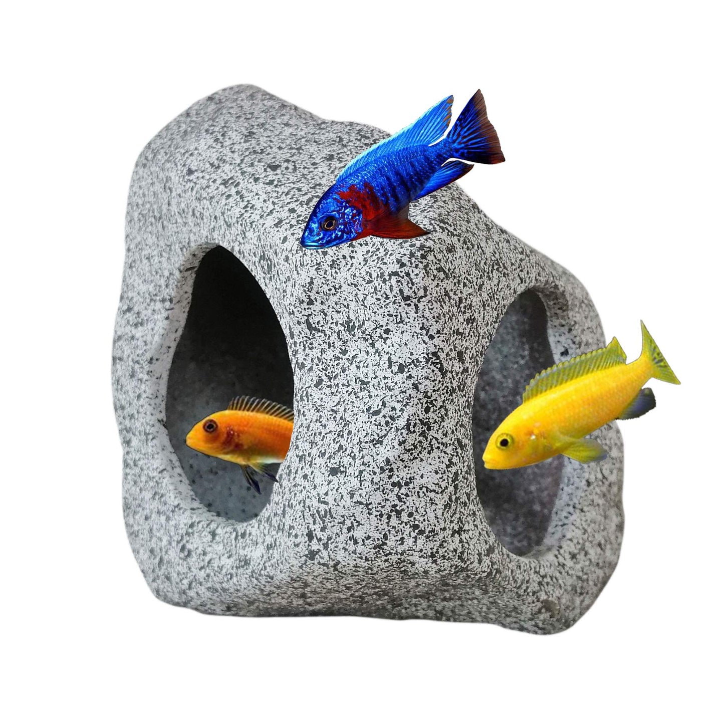 Your one-stop shop for diverse, top-quality aquarium supplies and accessories
