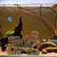 Your one-stop shop for diverse, top-quality aquarium supplies and accessories