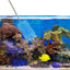 Your one-stop shop for diverse, top-quality aquarium supplies and accessories
