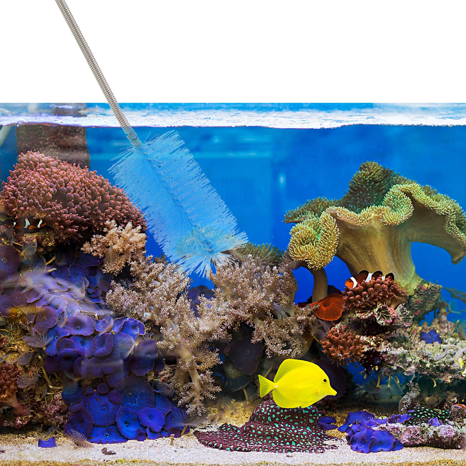 Your one-stop shop for diverse, top-quality aquarium supplies and accessories