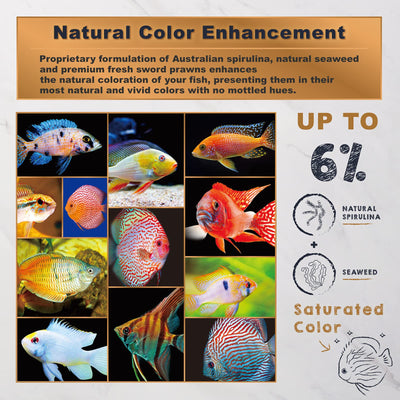 Your one-stop shop for diverse, top-quality aquarium supplies and accessories