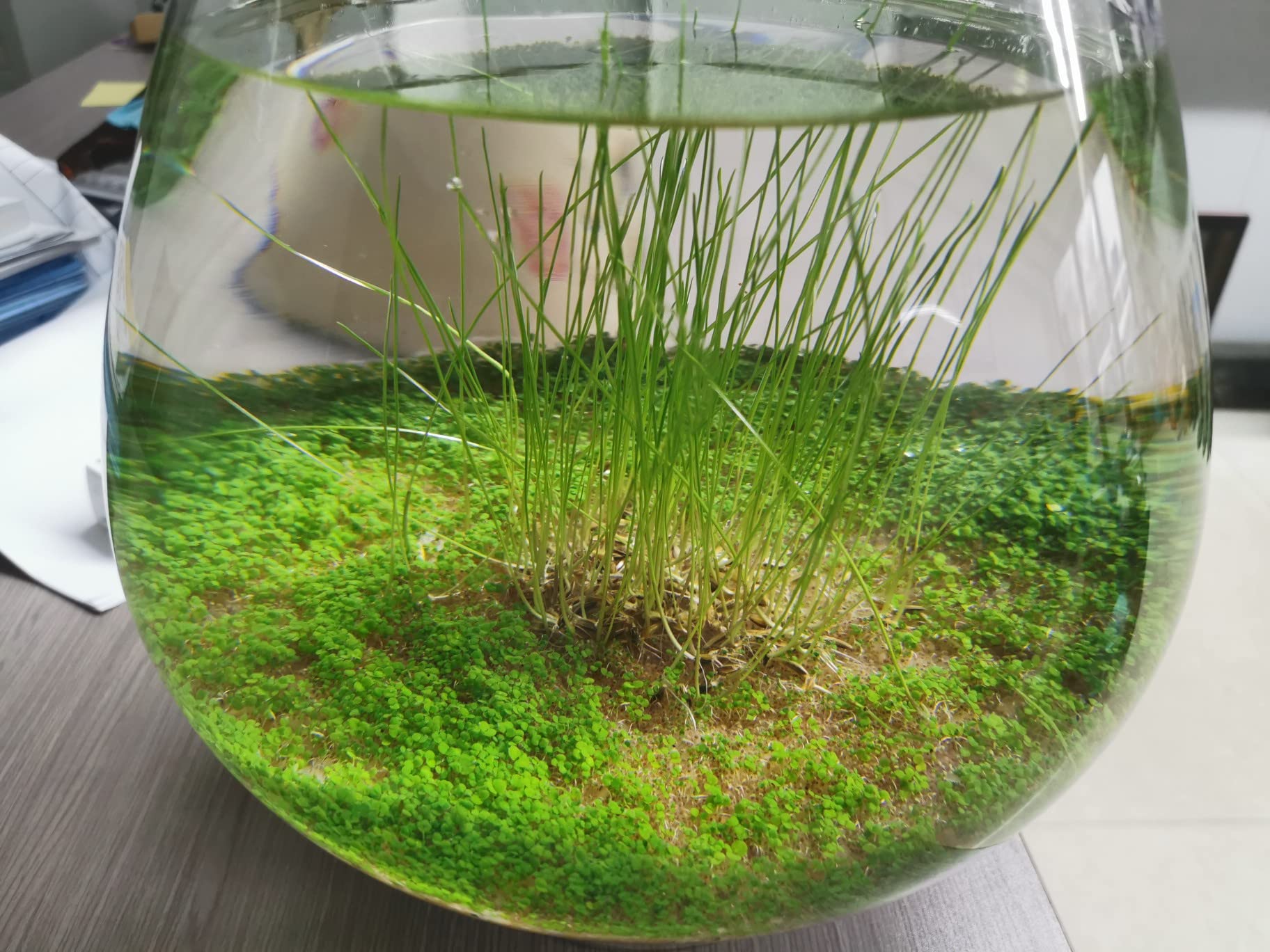 Your one-stop shop for diverse, top-quality aquarium supplies and accessories