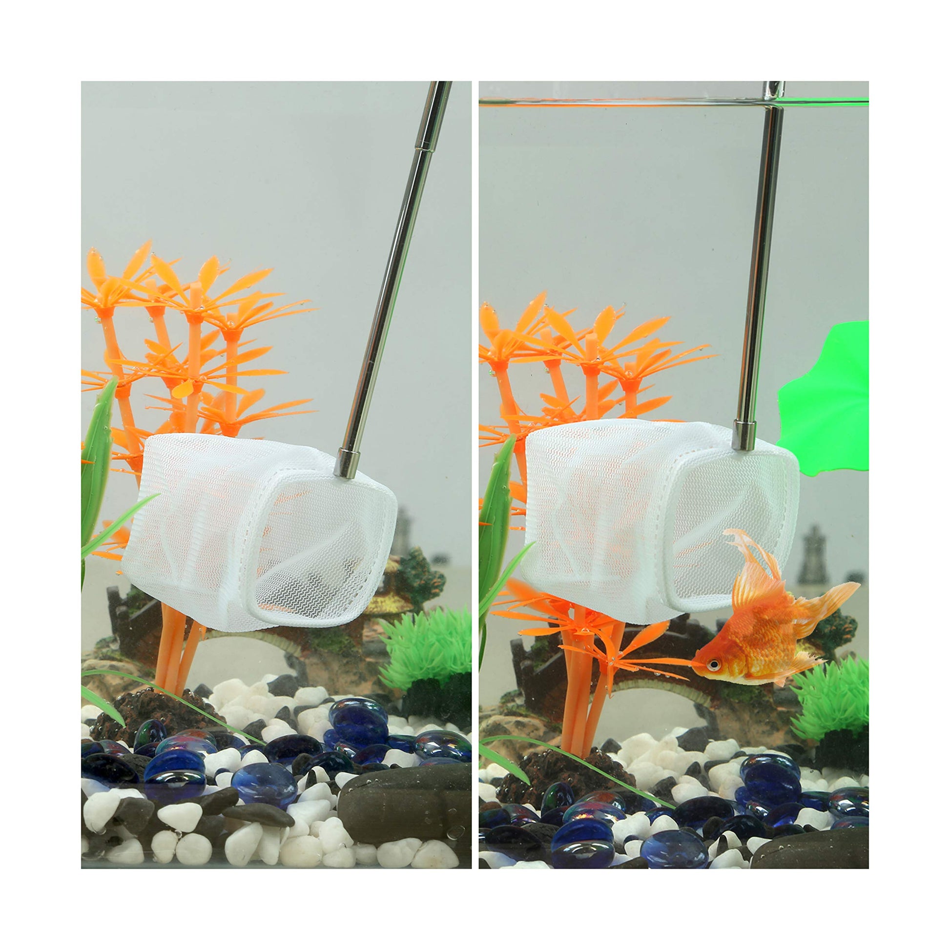 Your one-stop shop for diverse, top-quality aquarium supplies and accessories