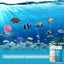 Your one-stop shop for diverse, top-quality aquarium supplies and accessories