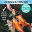 Your one-stop shop for diverse, top-quality aquarium supplies and accessories
