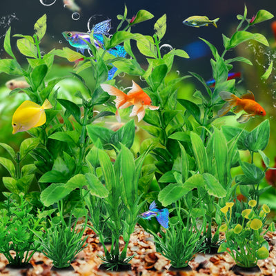Your one-stop shop for diverse, top-quality aquarium supplies and accessories