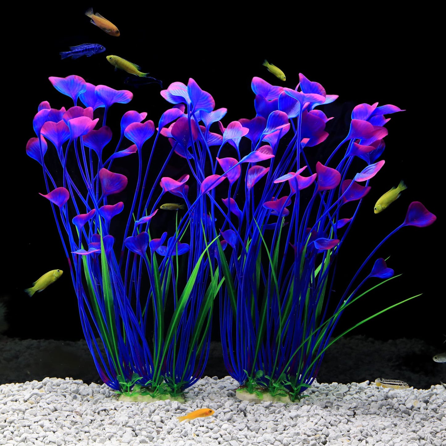 Your one-stop shop for diverse, top-quality aquarium supplies and accessories