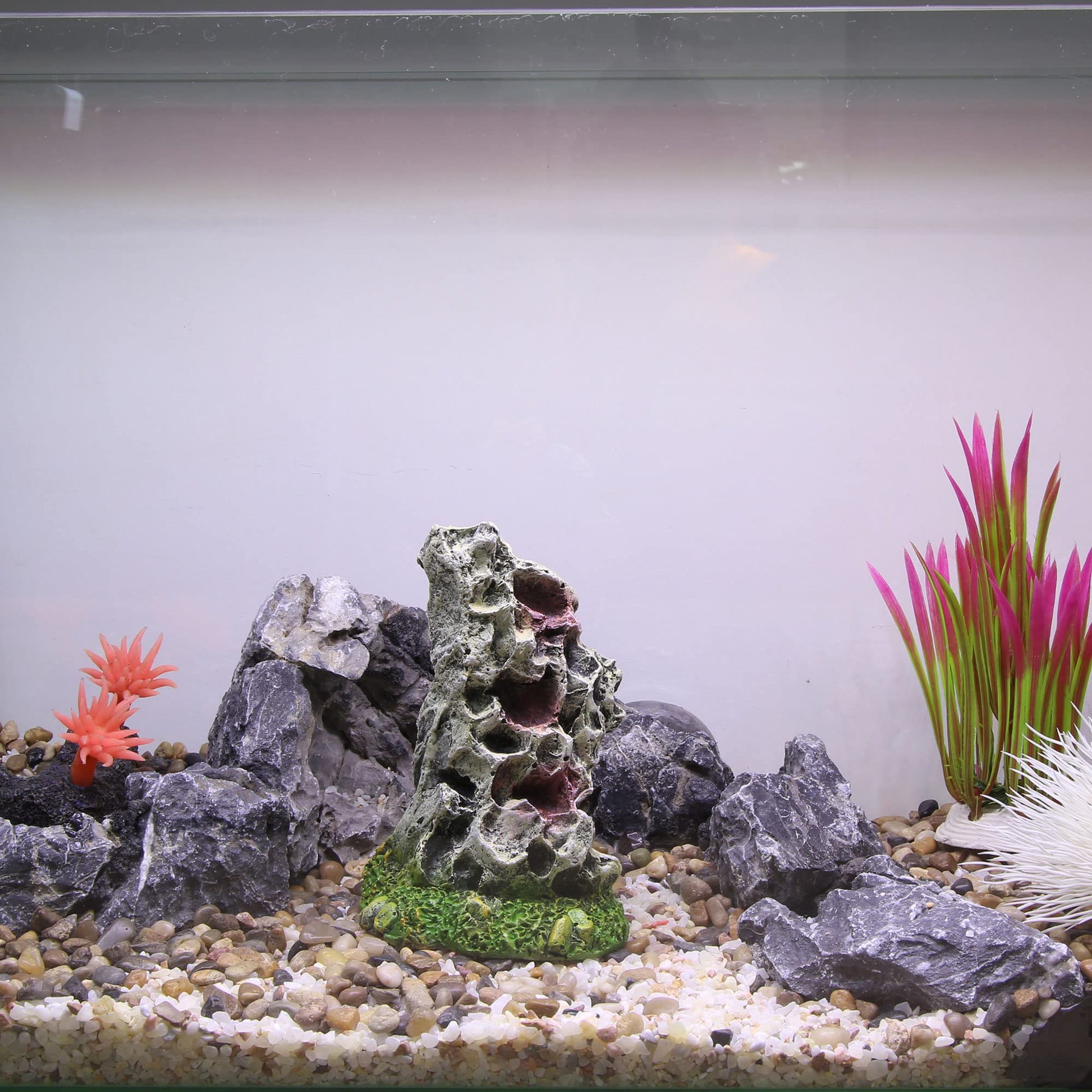 Your one-stop shop for diverse, top-quality aquarium supplies and accessories