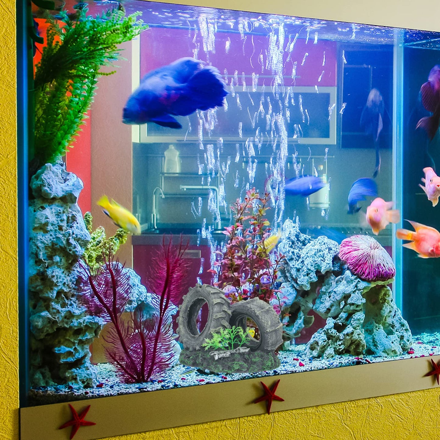 Your one-stop shop for diverse, top-quality aquarium supplies and accessories