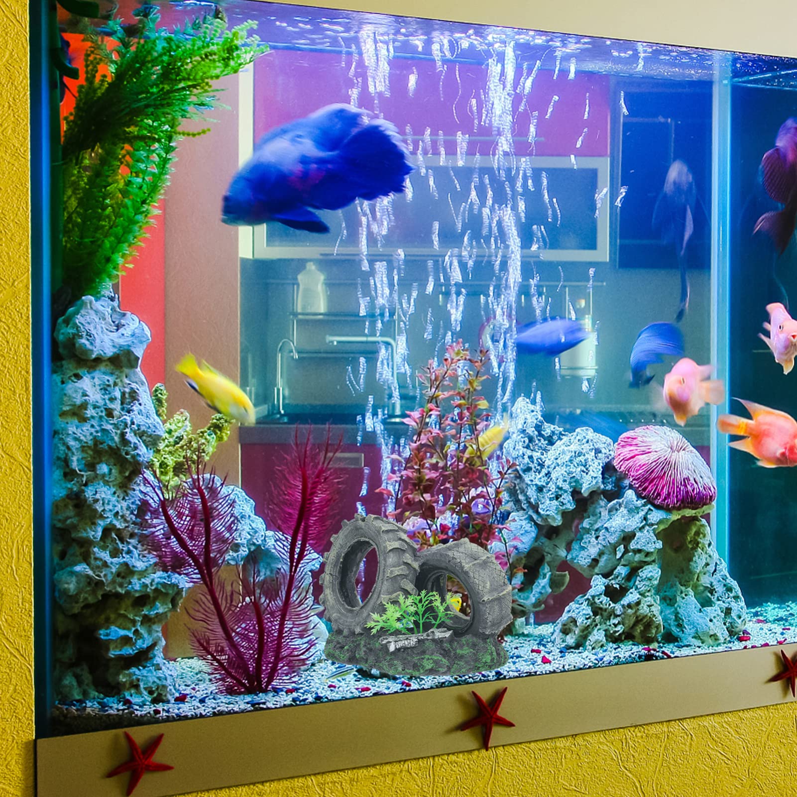 Your one-stop shop for diverse, top-quality aquarium supplies and accessories