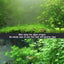 Your one-stop shop for diverse, top-quality aquarium supplies and accessories