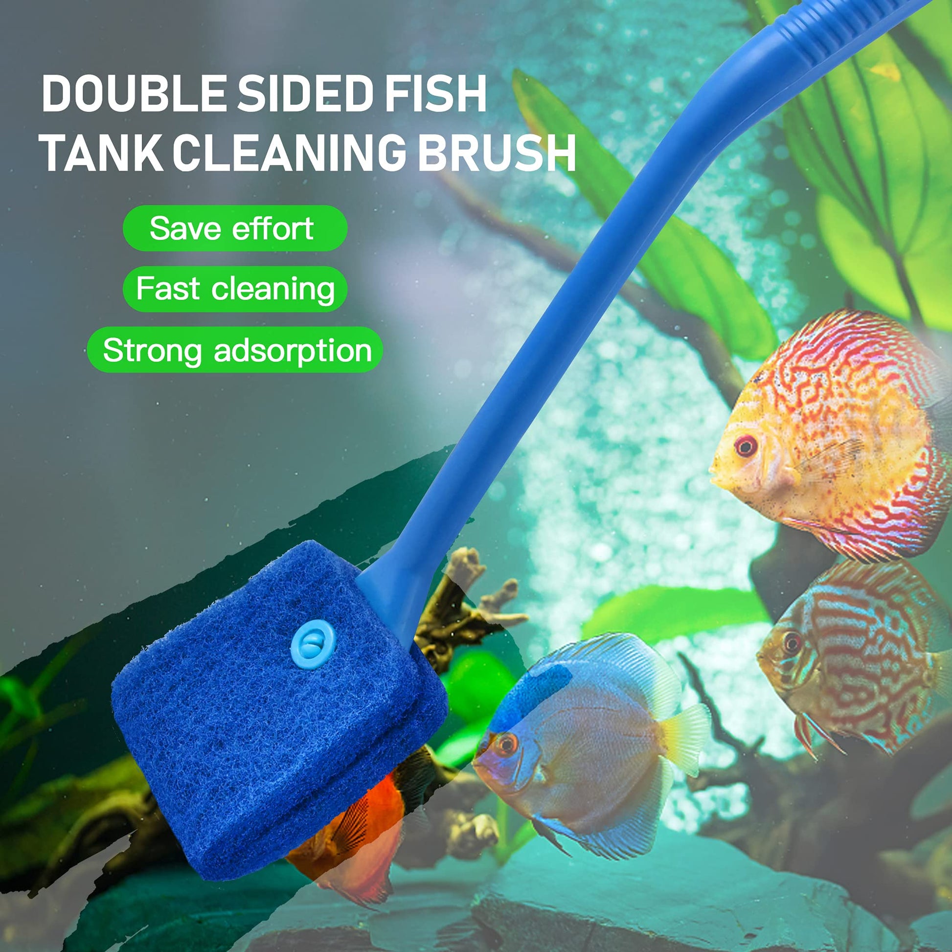 Your one-stop shop for diverse, top-quality aquarium supplies and accessories