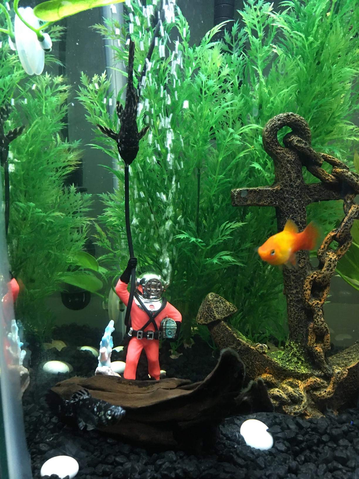 Your one-stop shop for diverse, top-quality aquarium supplies and accessories
