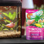 Your one-stop shop for diverse, top-quality aquarium supplies and accessories