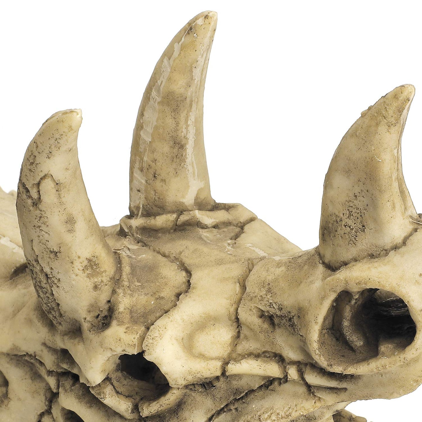 Your one-stop shop for diverse, top-quality aquarium supplies and accessories