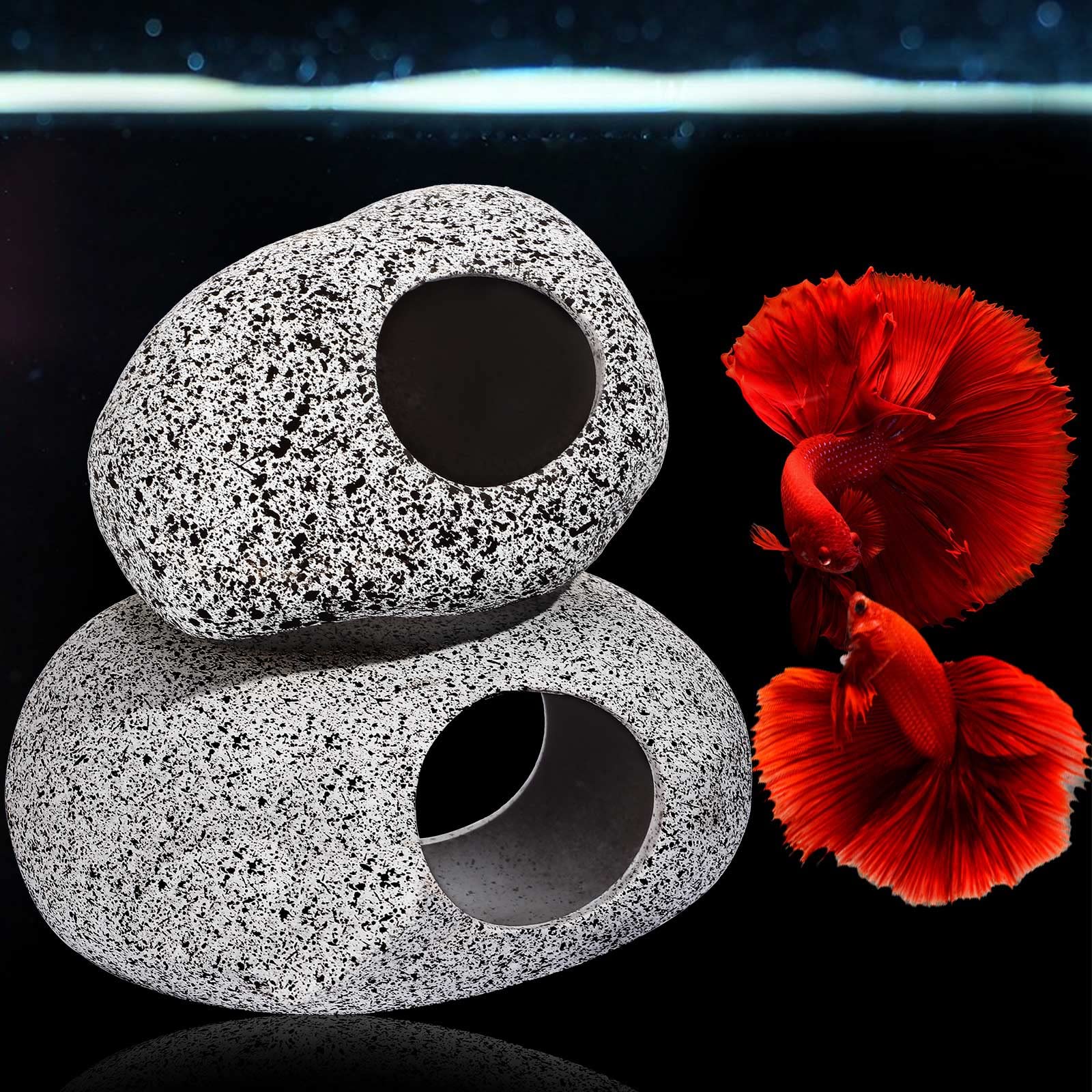 Your one-stop shop for diverse, top-quality aquarium supplies and accessories