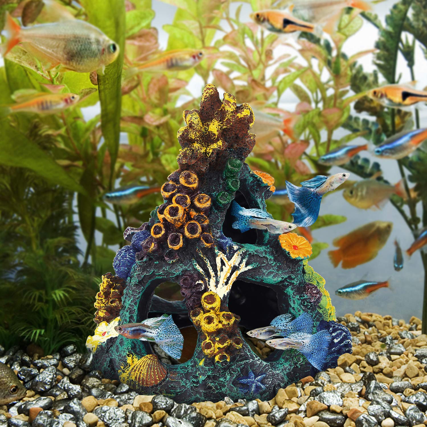 Your one-stop shop for diverse, top-quality aquarium supplies and accessories