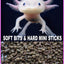 Your one-stop shop for diverse, top-quality aquarium supplies and accessories