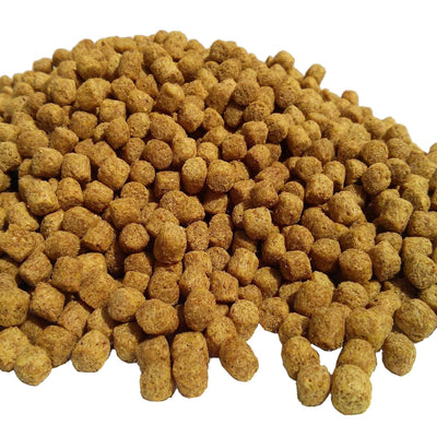 Your one-stop shop for diverse, top-quality aquarium supplies and accessories