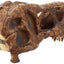 Your one-stop shop for diverse, top-quality aquarium supplies and accessories