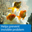 Your one-stop shop for diverse, top-quality aquarium supplies and accessories