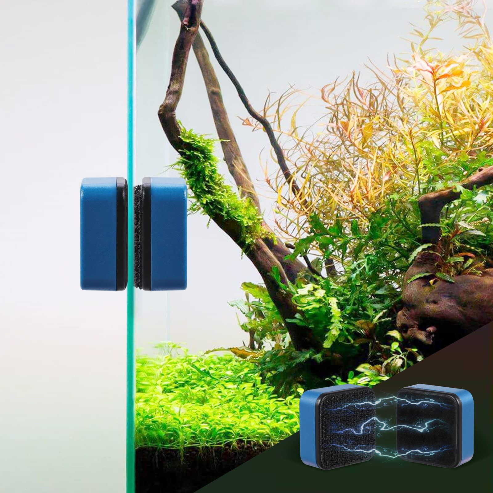 Your one-stop shop for diverse, top-quality aquarium supplies and accessories