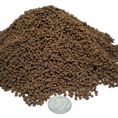 Your one-stop shop for diverse, top-quality aquarium supplies and accessories
