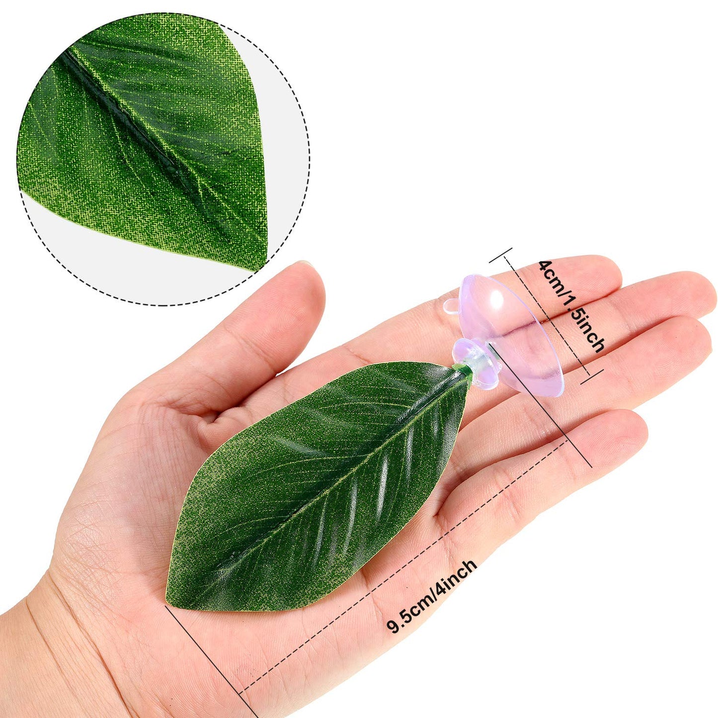 Your one-stop shop for diverse, top-quality aquarium supplies and accessories