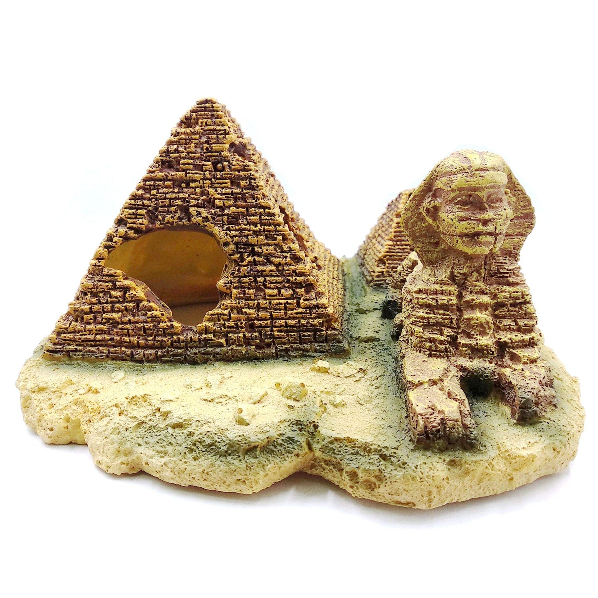 Your one-stop shop for diverse, top-quality aquarium supplies and accessories