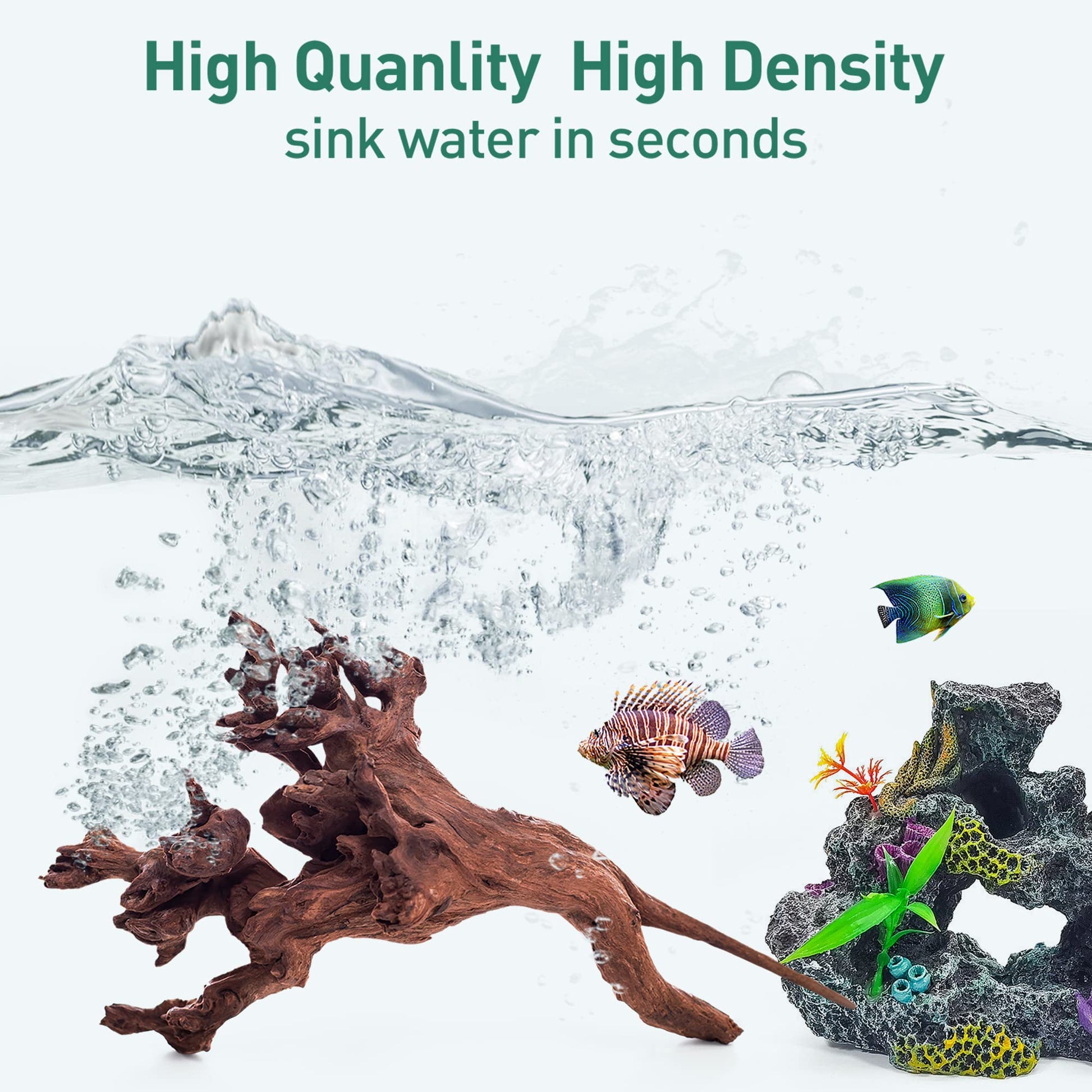 Your one-stop shop for diverse, top-quality aquarium supplies and accessories