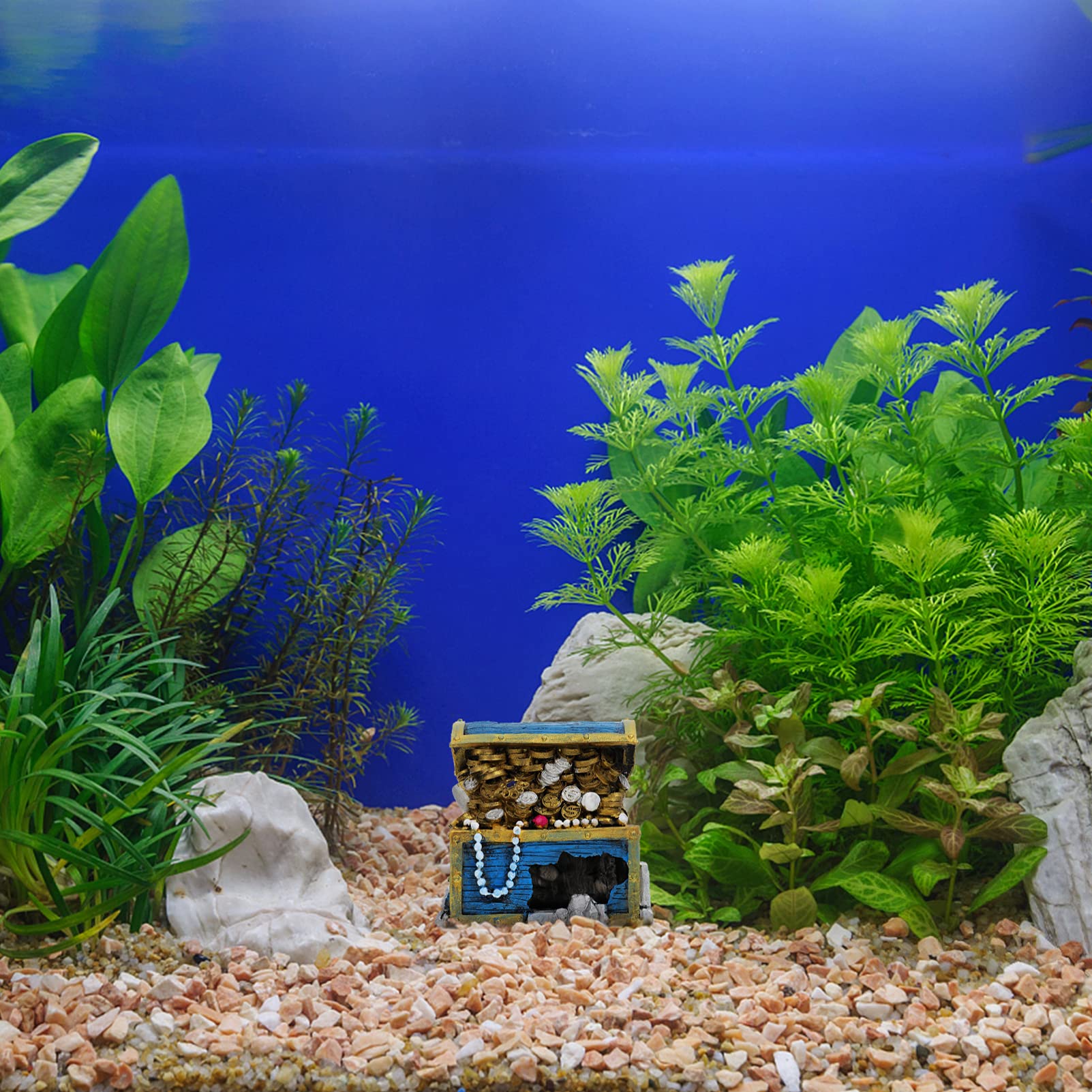 Your one-stop shop for diverse, top-quality aquarium supplies and accessories