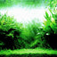 Your one-stop shop for diverse, top-quality aquarium supplies and accessories