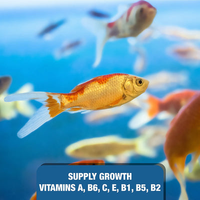 Your one-stop shop for diverse, top-quality aquarium supplies and accessories