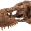 Your one-stop shop for diverse, top-quality aquarium supplies and accessories