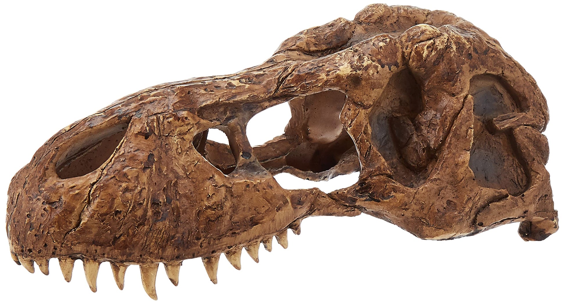 Your one-stop shop for diverse, top-quality aquarium supplies and accessories