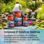 Your one-stop shop for diverse, top-quality aquarium supplies and accessories