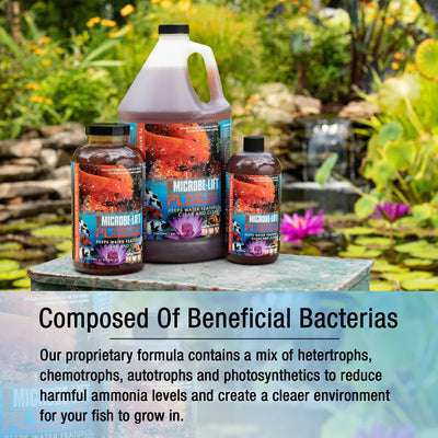 Your one-stop shop for diverse, top-quality aquarium supplies and accessories