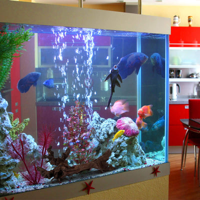 Your one-stop shop for diverse, top-quality aquarium supplies and accessories