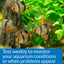 Your one-stop shop for diverse, top-quality aquarium supplies and accessories