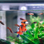 Your one-stop shop for diverse, top-quality aquarium supplies and accessories