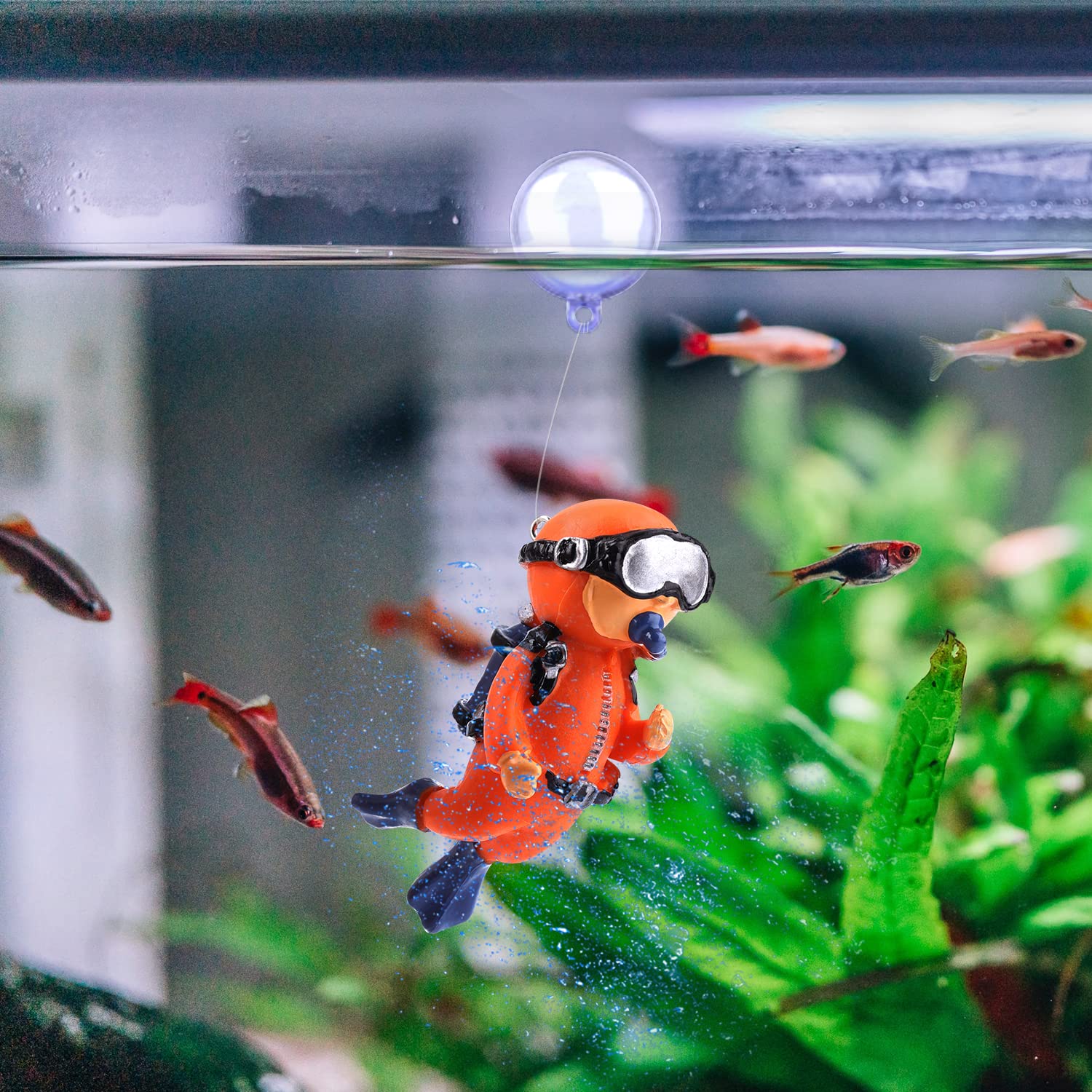 Your one-stop shop for diverse, top-quality aquarium supplies and accessories